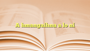 A hmangaihna a lo ni