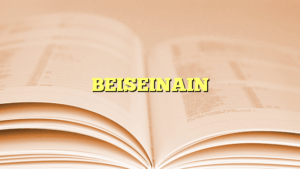 Beiseinain