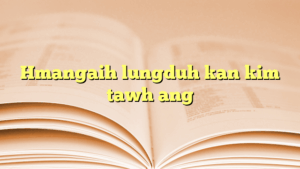 Hmangaih lungduh kan kim tawh ang