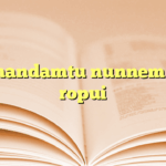 Chhandamtu nunnem leh ropui
